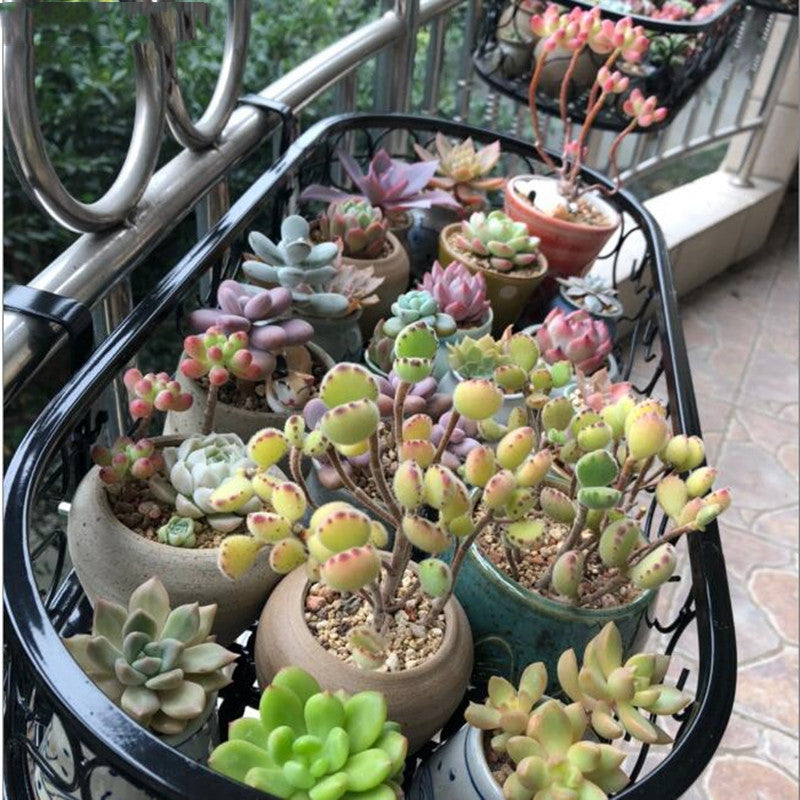 Balcony Hanging Flower Pot Rack