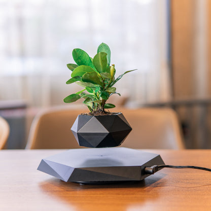 Levitating Flower Pot