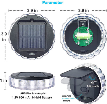 Solar Wall Light